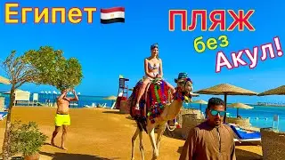 Египет 2024🇪🇬 ПЕРВАЯ ЛИНИЯ❗️ Море в ОТЕЛЕ Sea Star Beau Rivage 5*. ОТДЫХ в Хургаде БЕЗ акул