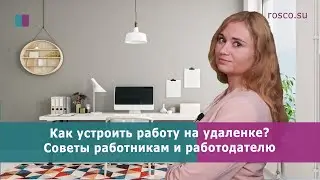 Удаленная работа. Как устроить работу на удаленке?