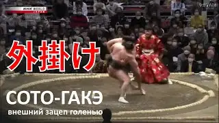 Сумо. 外掛け Сото-гакэ (внешний зацеп голенью) в деле.