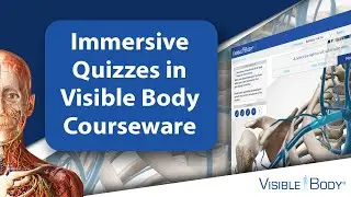 New! Immersive Quizzing in Visible Body Courseware