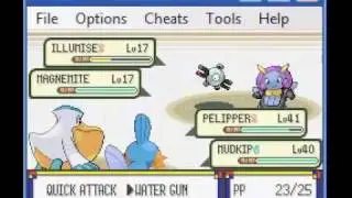 How To Beat The Third Gym Leader Really Easy On Pokemon Emerald.