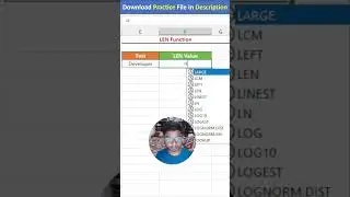 Master the Excel LEN Function | Count Characters Easily