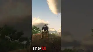 Red Dead Online Tips: 5. Sightseeing Locations