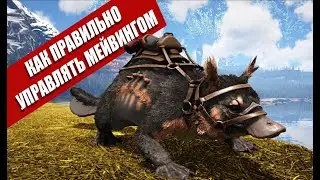 Гайд Мейвинг сверхзвуковой как разгонять, как управлять, как прыгать 