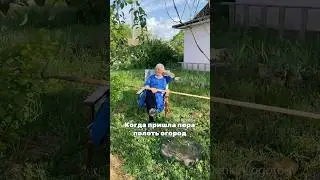 А вы любите зелень? 