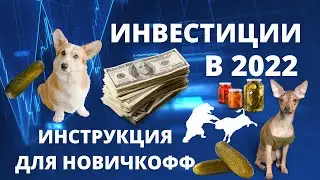 Как начать инвестировать в 2022 году: инструкция для чайников.  Инвестиции в акции простыми словами