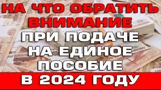 На что обратить внимание при подаче на Единое пособие в 2024 году