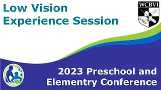 Low Vision Experience Session