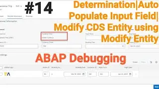 Determination|Auto Populate value|Table Creation| CDS Entity Modify using RAP ABAP Fiori App