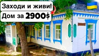 🇺🇦 Заходи и живи! Дом в селе за 2900$ Продажа недвижимости за копейки! Всё есть Уютное тихое село!