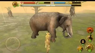 Cheetah Simulator (симулятор гепарда) Gameplay. Android games.