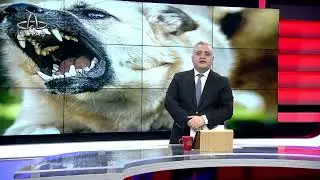 Ordu Altaş TV Ana Haber | 24 Aralık 2024