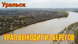 Река Урал выходит из берегов!