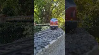 V200 with Rheingold coaches #gardenrailway #shorts #spur1 #gauge1