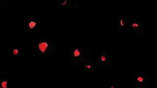 Лепестки красных цветов летят быстро  Фон Видеомаска