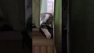 Лучше пройти мимо😮😅😅