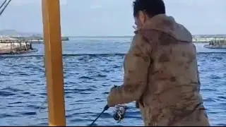 Bodrum'da Balık Avı Çupra, Mercan, Kolyoz, Gopez, Eşek İstavriti ne ararsan var!