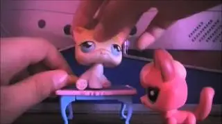 Littlest Pet Shop Popular Girl$ Part 1