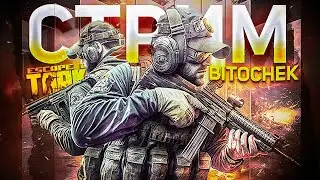 ⚡10.2.23 🔴 Бежим из Таркова с GOPster'ом + двойное Zero To Hero =)