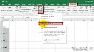 Quickly Insert Multiple Pictures Into Cells Based On Cell Value In Excel