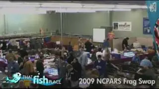 2009 NCPARS/That Fish Place Frag Swap Highlights