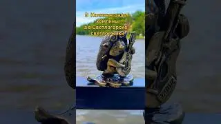 Светлогорск сказочный городок, и вот такие милые существа там живут