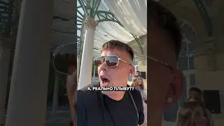 Продолжение в ТГ: Pavlov_family_