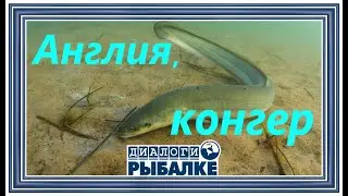 Диалоги о рыбалке - 083 / Англия. Конгер