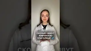 Интересный факт 🤔 