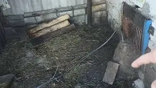 Вольер для нутрий  пол из решетки  и серые  КРЫСЫ  травим