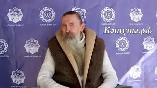 Вторая половина. Трехлебов