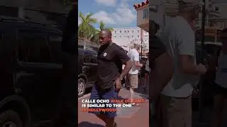 Vibrant Calle Ocho in MIAMI🌴 
