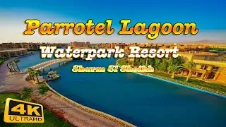 Parrotel Beach Resort 5* (Sharm El Sheikh) Egypt