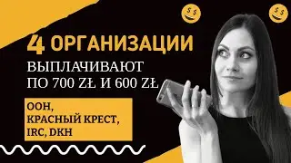 ВЫПЛАТЫ ООН, КРАСНЫЙ КРЕСТ, МЕЖДУНАРОДНЫЙ КОМИТЕТ СПАСЕНИЯ (IRC), Diakonie Katastrophenhilfe (DKH)