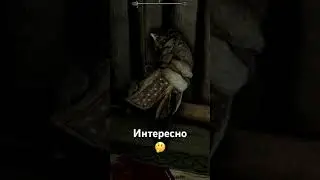 Занятой Каджит в Skyrim 