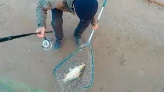 (НЕИЗДАННОЕ) ЛОВЛЯ САЗАНА НА КАМЕ