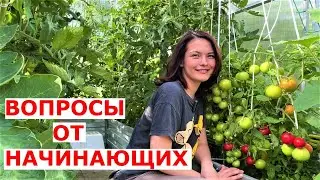 В гостях на участке vogorode pro ИЮНЬ