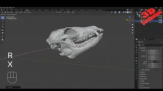 How to animate a 3D scanned skull in Blender