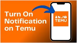 How to Turn On Notification on Temu App? 2024