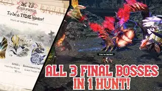 What the actual HARDEST quest in sunbreak actually looks like...
