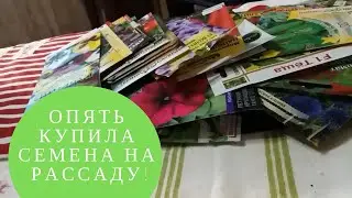 Опять купила семена на рассаду!