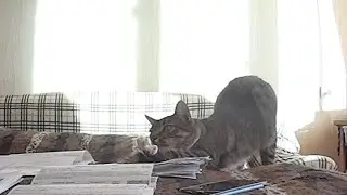 Первые дни зимы Неудачное начало нового проекта Разбираю счета
