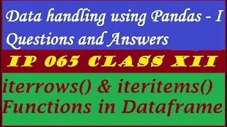 Informatics Practices | Q&A | iterrows | iteritems | Data handling using pandas - l | IP Class XII