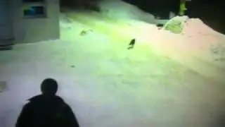 Эй, мужик! Моих друзей не видел?