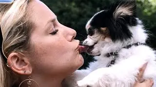 I KISSED A DOG (I Kissed a Girl - Katy Perry Parody)