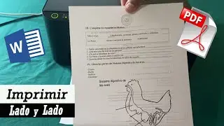 Cómo Imprimir varias hojas lado y lado en impresora Epson L-3150 y otras 🖨️