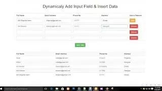 how to Add Remove Input Field & Insert Data using PHP MySql Jquery [Shajedul Shawon]