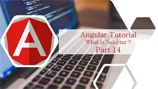 What is Selector in Angular ? | Angular Tutorials in Hindi #14 | Latest Version #angular