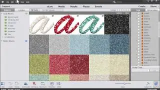 New Features in Photoshop Elements Organizer 13