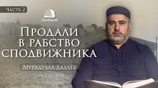 Продали в рабство сподвижника #2